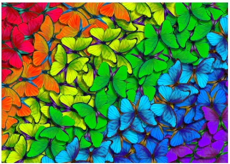 Enjoy 1000pc Jigsaw Puzzle – Rainbow Butterflies