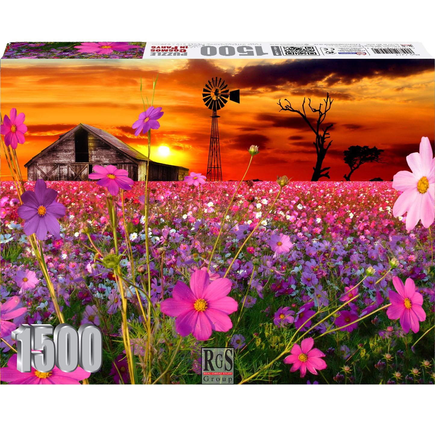 RGS Group 1500pc Jigsaw Puzzle – Cosmos in Parys
