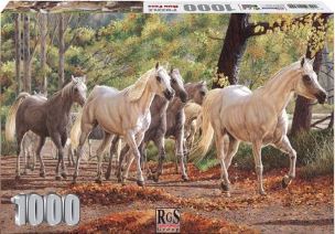 RGS Group 1000pc Jigsaw Puzzle – Run Free