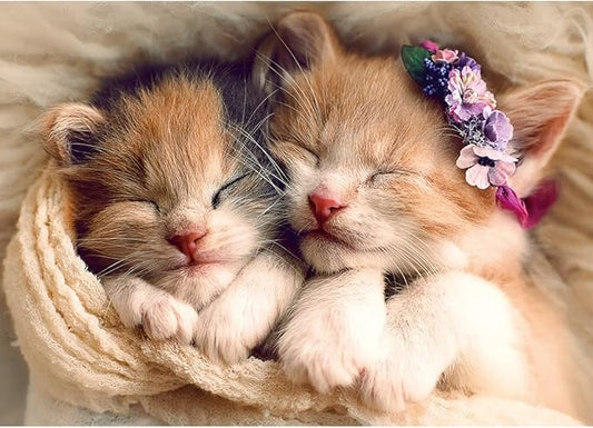 Trefl 500pc Jigsaw Puzzle β Sleeping Kittens