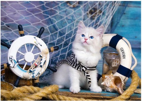 Enjoy 1000pc Jigsaw Puzzle – Captain Kitten