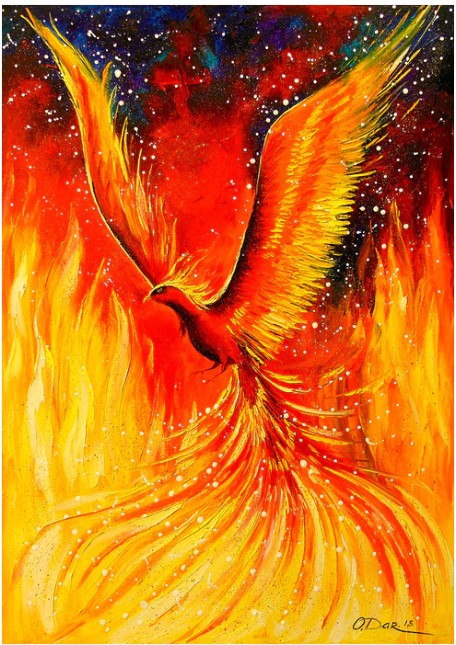 Enjoy 1000pc Jigsaw Puzzle – Phoenix Bird