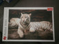 Trefl 1500pc Jigsaw Puzzle – Bengal Tiger (Preloved)