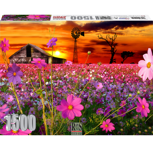 RGS Group 1500pc Jigsaw Puzzle – Cosmos in Parys