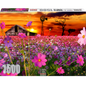 RGS Group 1500pc Jigsaw Puzzle – Cosmos in Parys