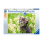 Ravensburger 500pc Puzzle – Cats Photo