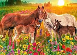 RGS 1500pc Jigsaw Puzzle – Horse Heaven Meadow
