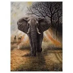 RGS Group 1500pc Jigsaw Puzzle – Jumbo Rays