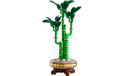LEGO Botanicals – Lucky Bamboo